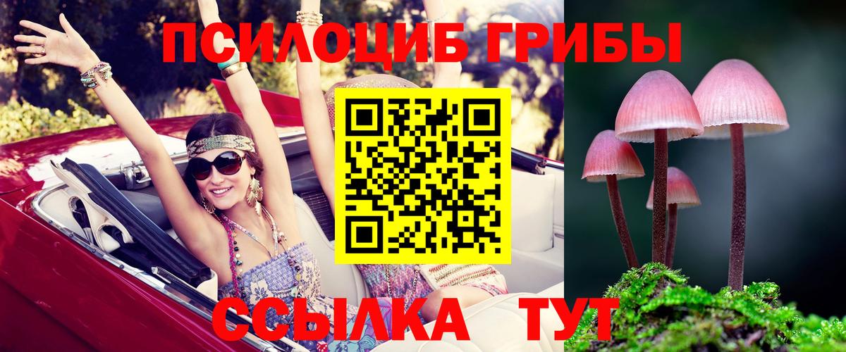 Междуреченск  Галлюциногенные грибы GOLDEN TEACHER  Вход с VPN 